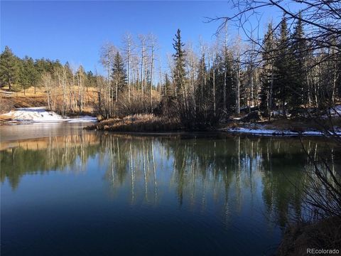 Unimproved Land in Manitou Springs CO 285 Forest Road 14.jpg