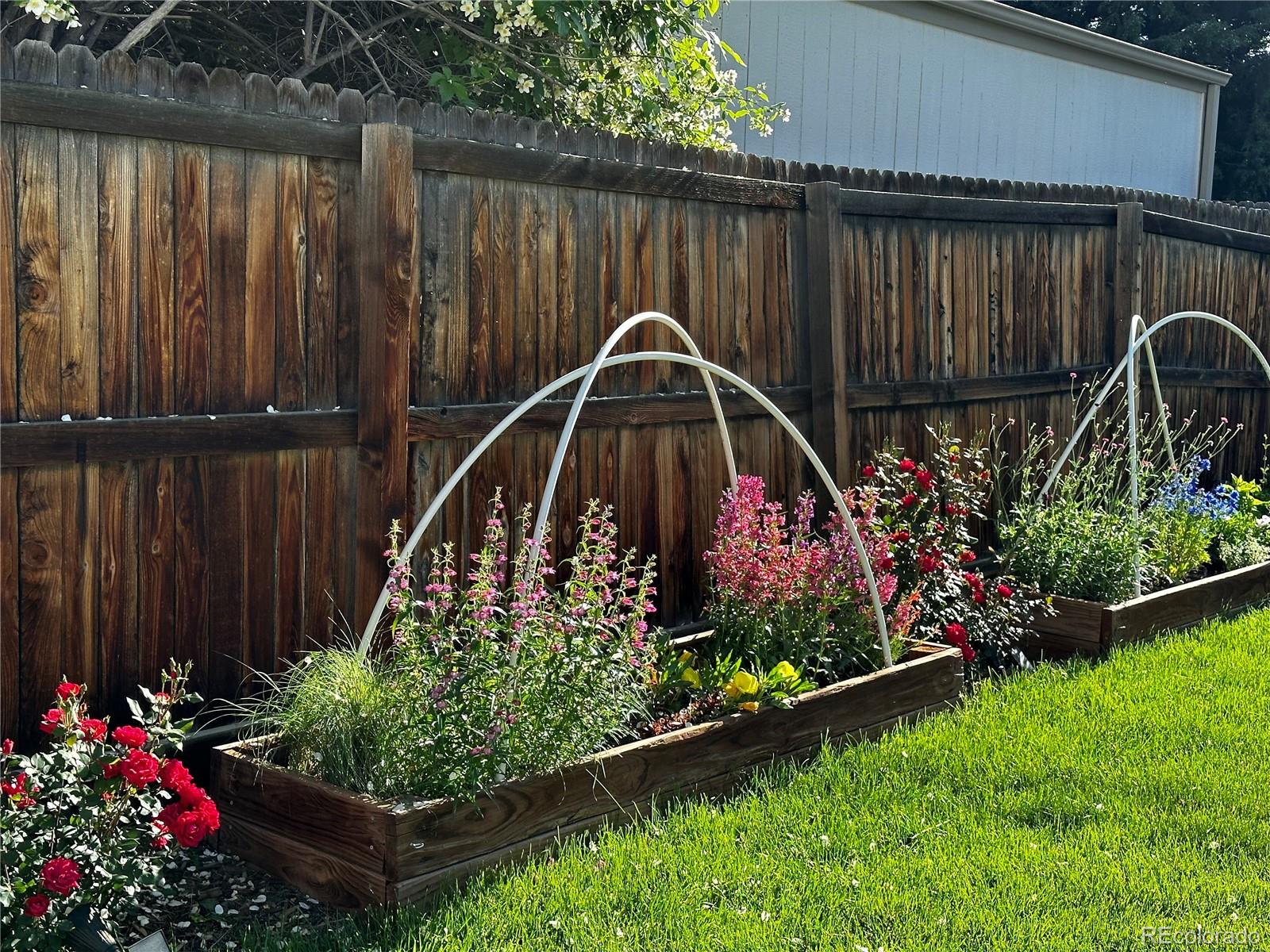 1212 Magnolia Street