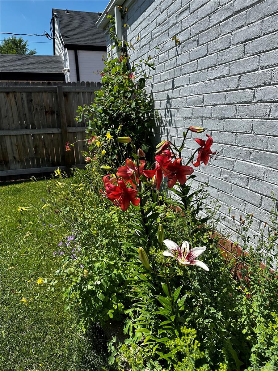 1212 Magnolia Street