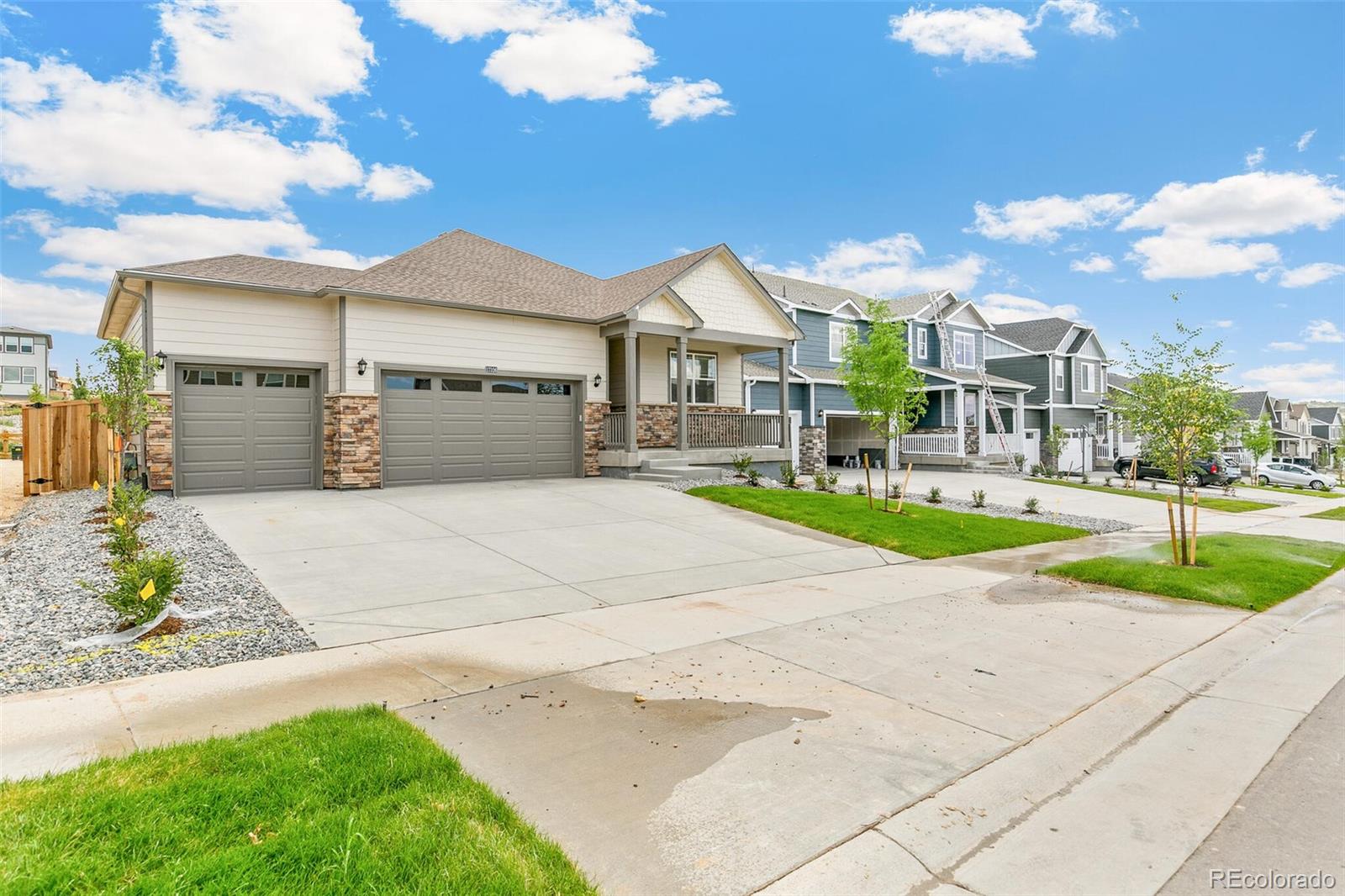 14259 Beebalm Avenue