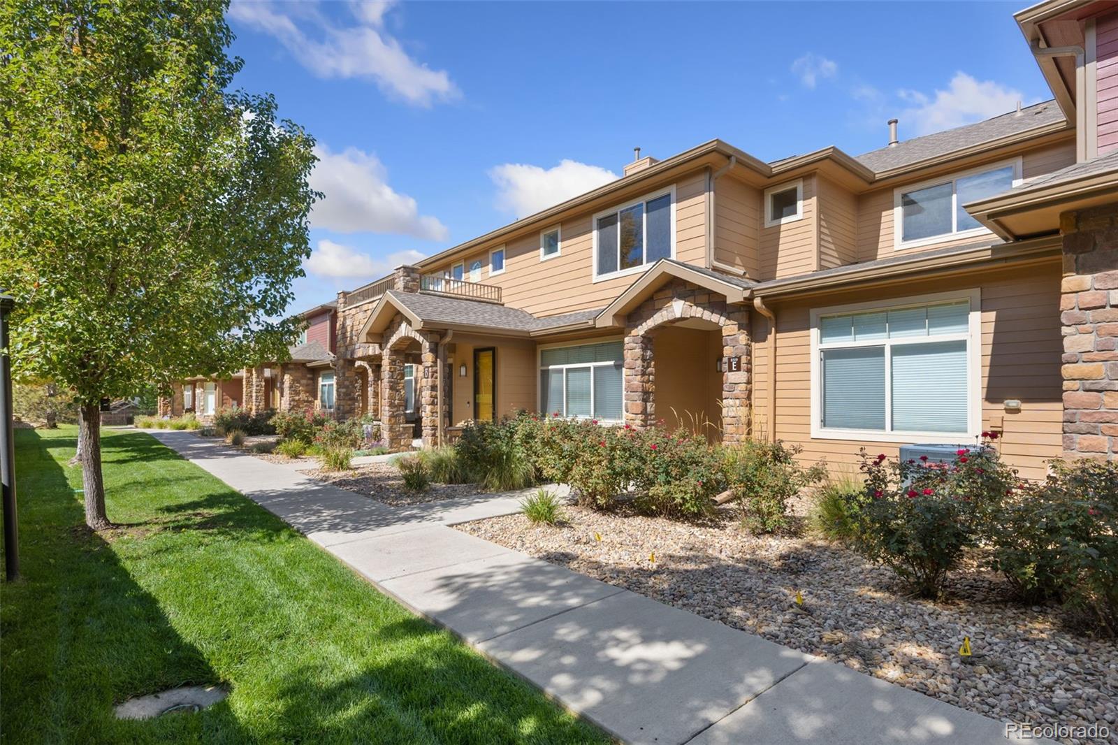 8519 Gold Peak Drive E in Palomino Park, Highlands Ranch CO