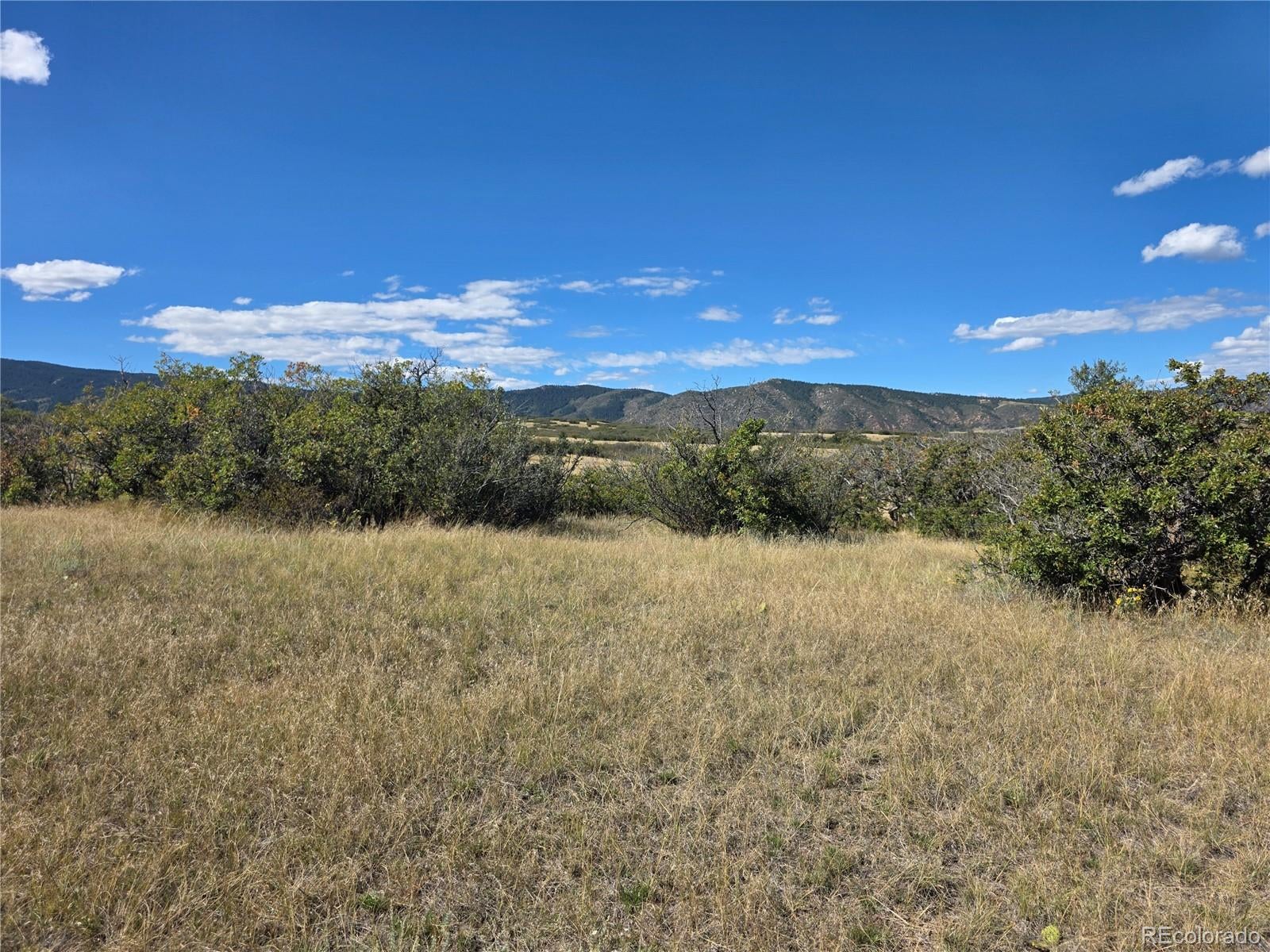 5230 Tall Horse Trail