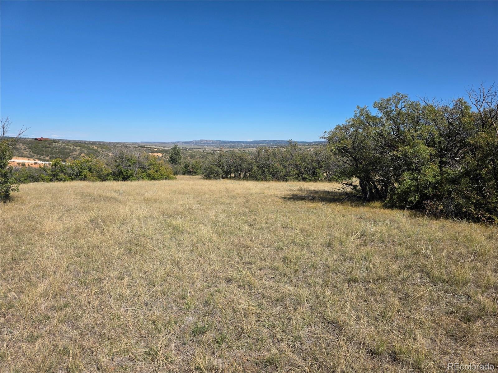 5230 Tall Horse Trail