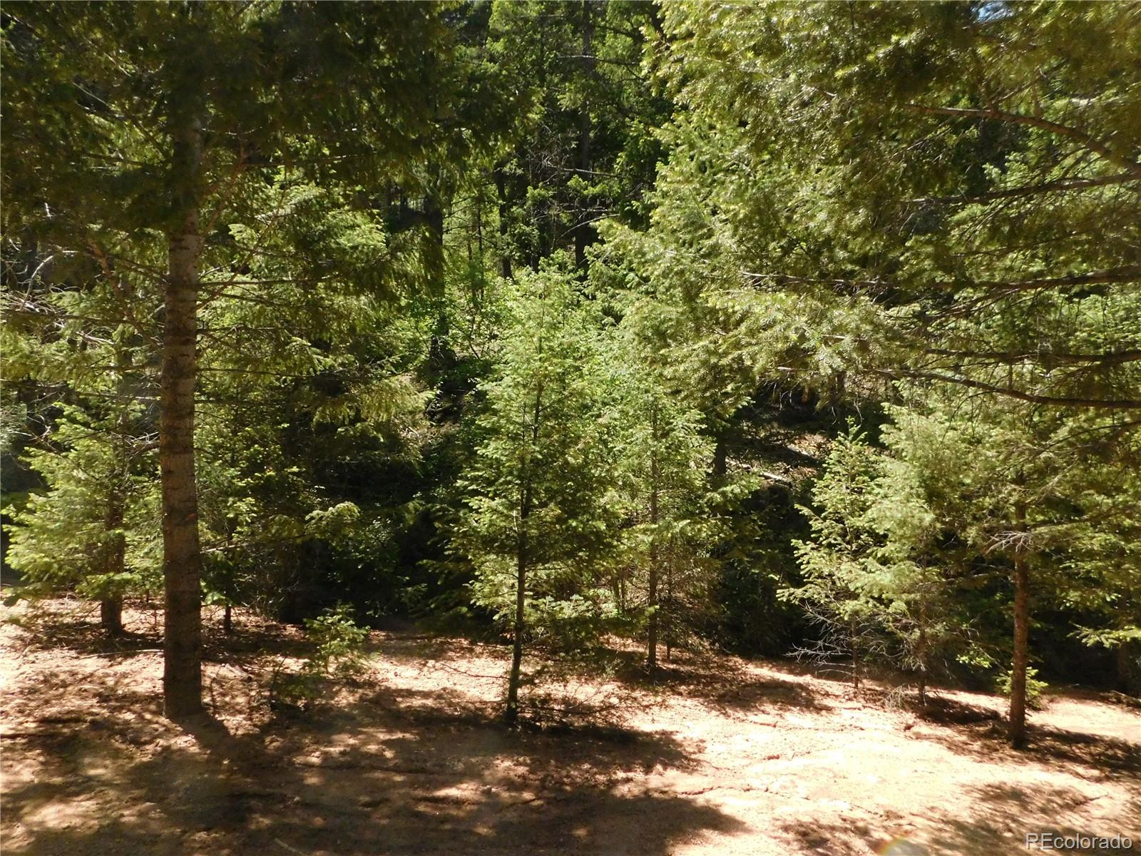 13175 Spruce Creek Circle, Larkspur, CO, 80118 13175 Spruce Creek Circle