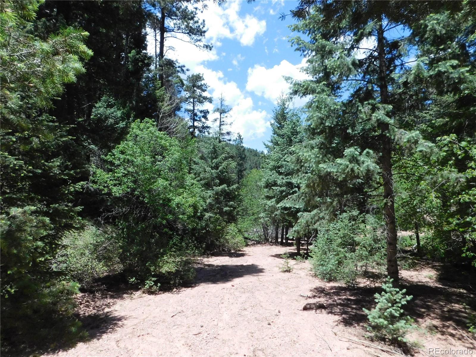 13175 Spruce Creek Circle, Larkspur, CO, 80118 13175 Spruce Creek Circle