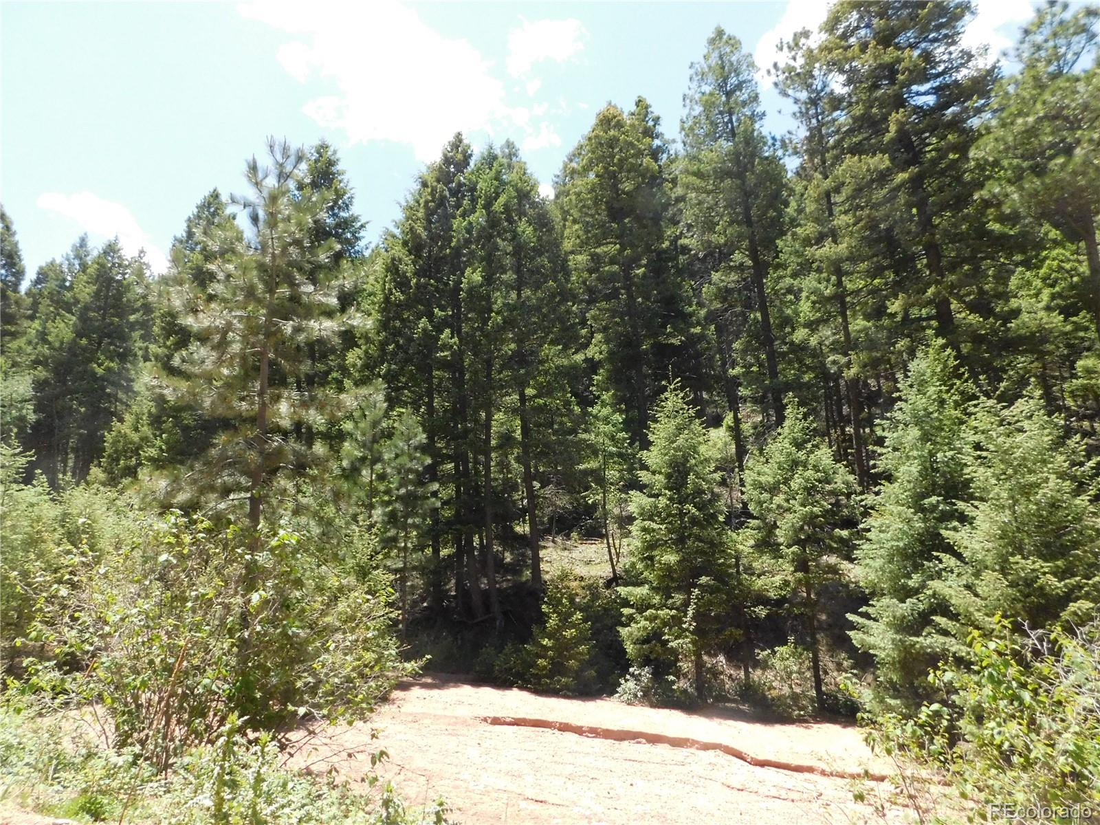 13175 Spruce Creek Circle, Larkspur, CO, 80118 13175 Spruce Creek Circle