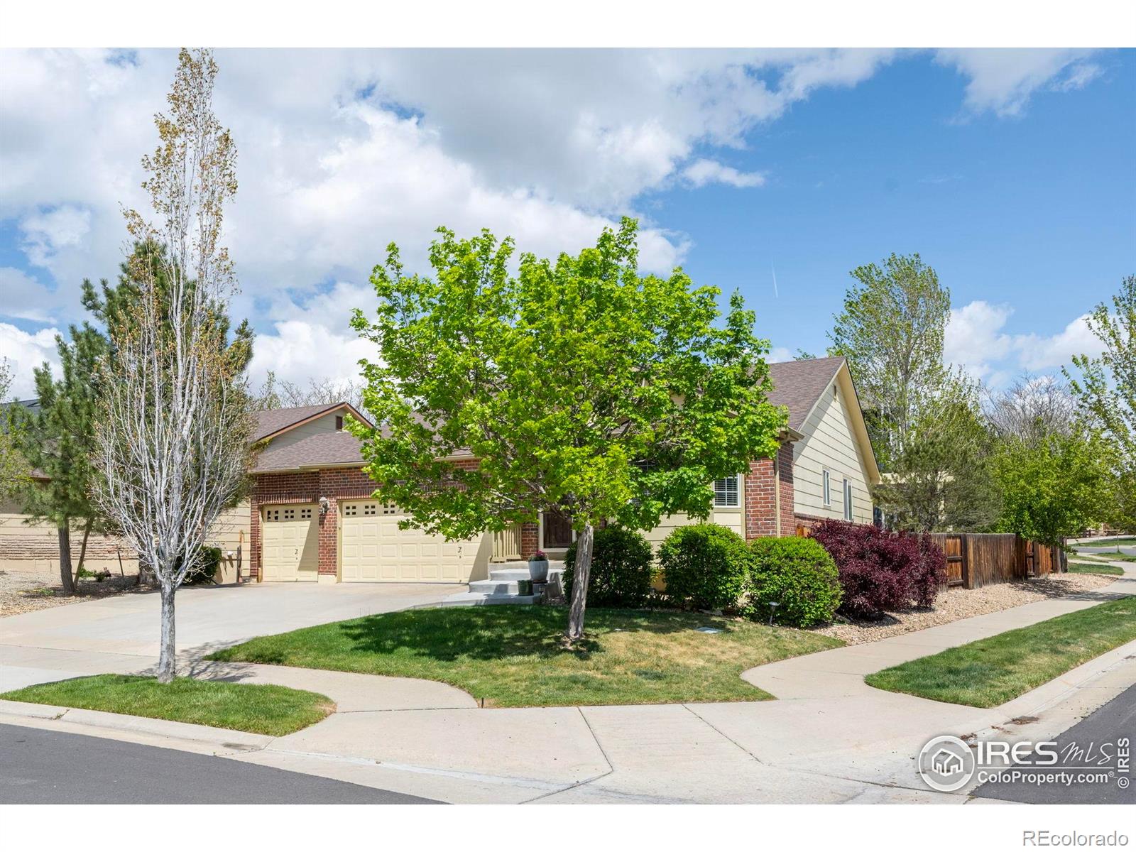 2304 Dogwood Drive