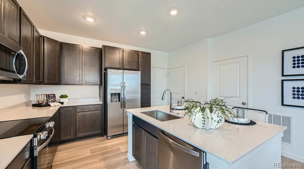 12571 Spotted Hawk Street