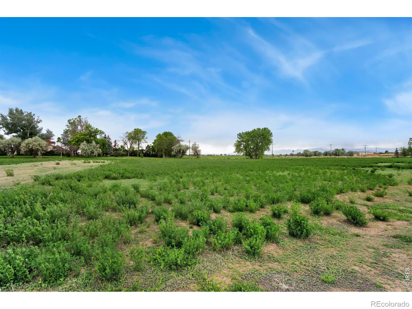 1544 Hauck Meadows Drive