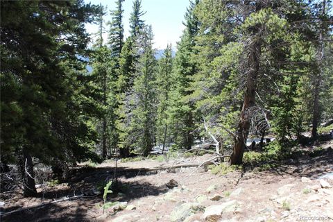 Group 6 Lamartine Road Idaho Springs CO 80452