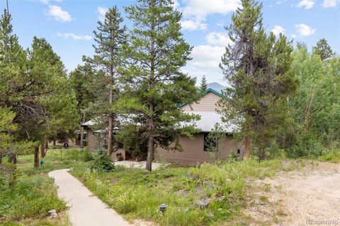 48 Warren Road Black Hawk CO 80422
