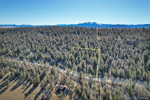 1467 Redhill Road Fairplay CO 80440