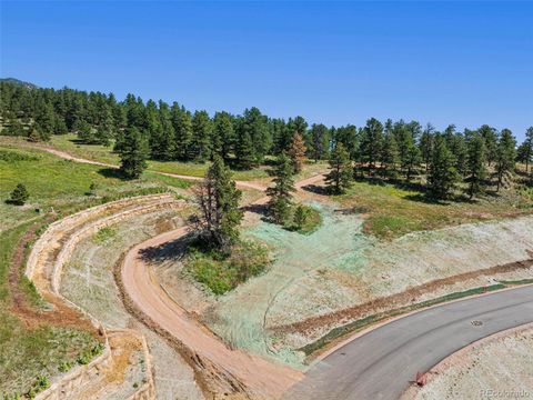 Unimproved Land in Arvada CO 51 Canyon Pines Drive 3.jpg