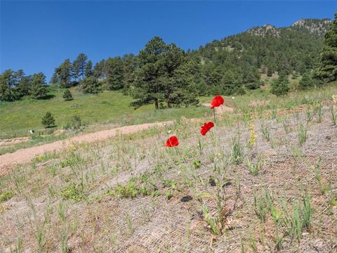 Unimproved Land in Arvada CO 51 Canyon Pines Drive 5.jpg