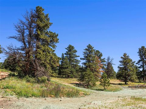 Unimproved Land in Arvada CO 51 Canyon Pines Drive 2.jpg