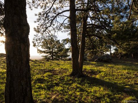 Unimproved Land in Arvada CO 51 Canyon Pines Drive 13.jpg