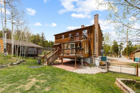 8600 S Warhawk Road Conifer CO 80433