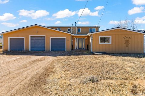 Photo of 211 Appleby Street, Bailey, CO 80421 (MLS # 9654596)