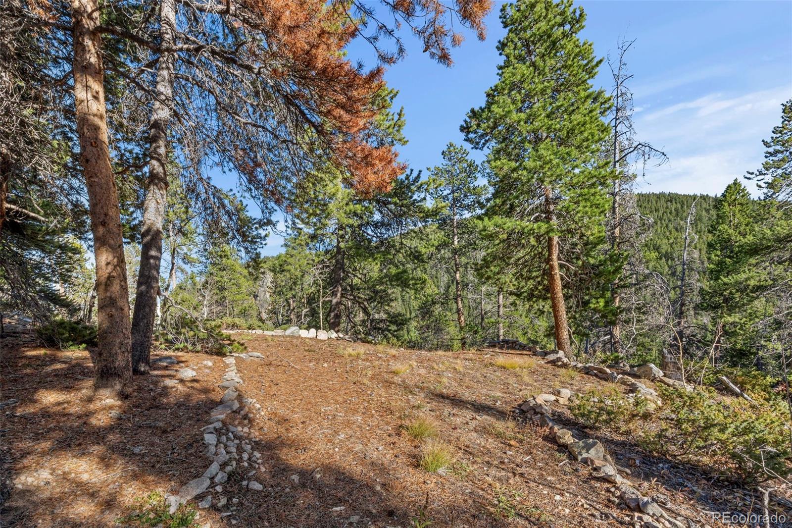 86 Severance Lodge Road