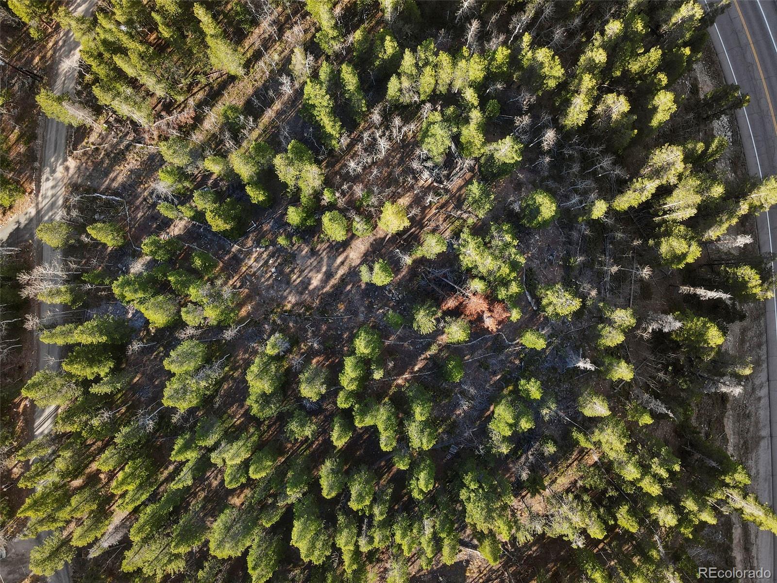 86 Severance Lodge Road