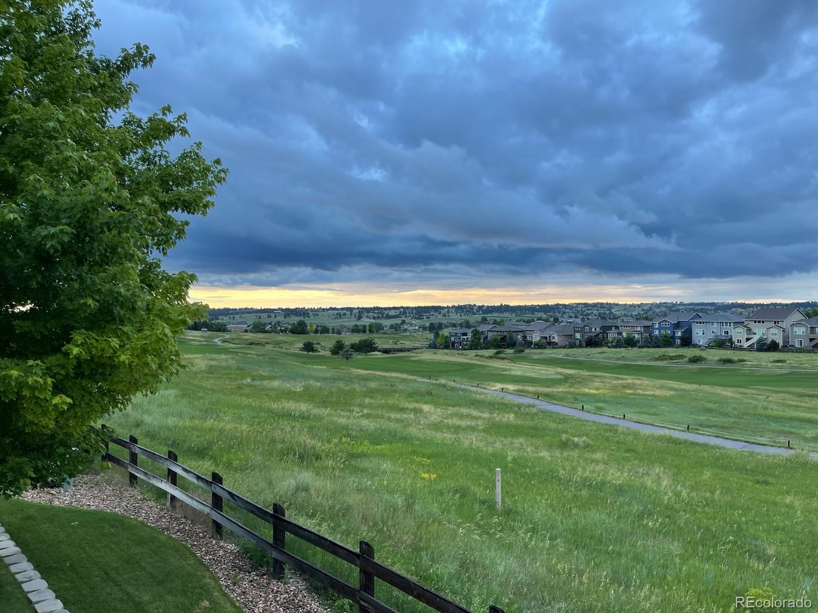 12078 Pine Top Street