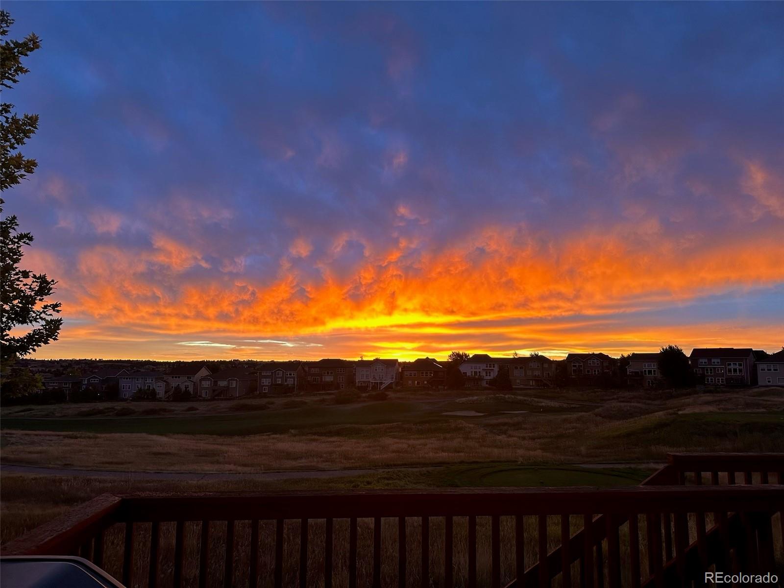 12078 Pine Top Street