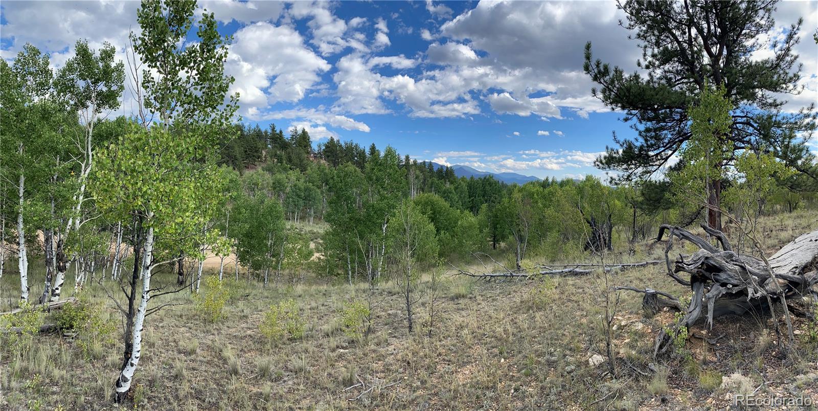 259 Bordenville Road, Jefferson, CO, 80456 3 259 Bordenville Road