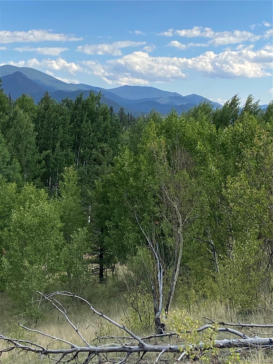 259 Bordenville Road, Jefferson, CO, 80456 2 259 Bordenville Road