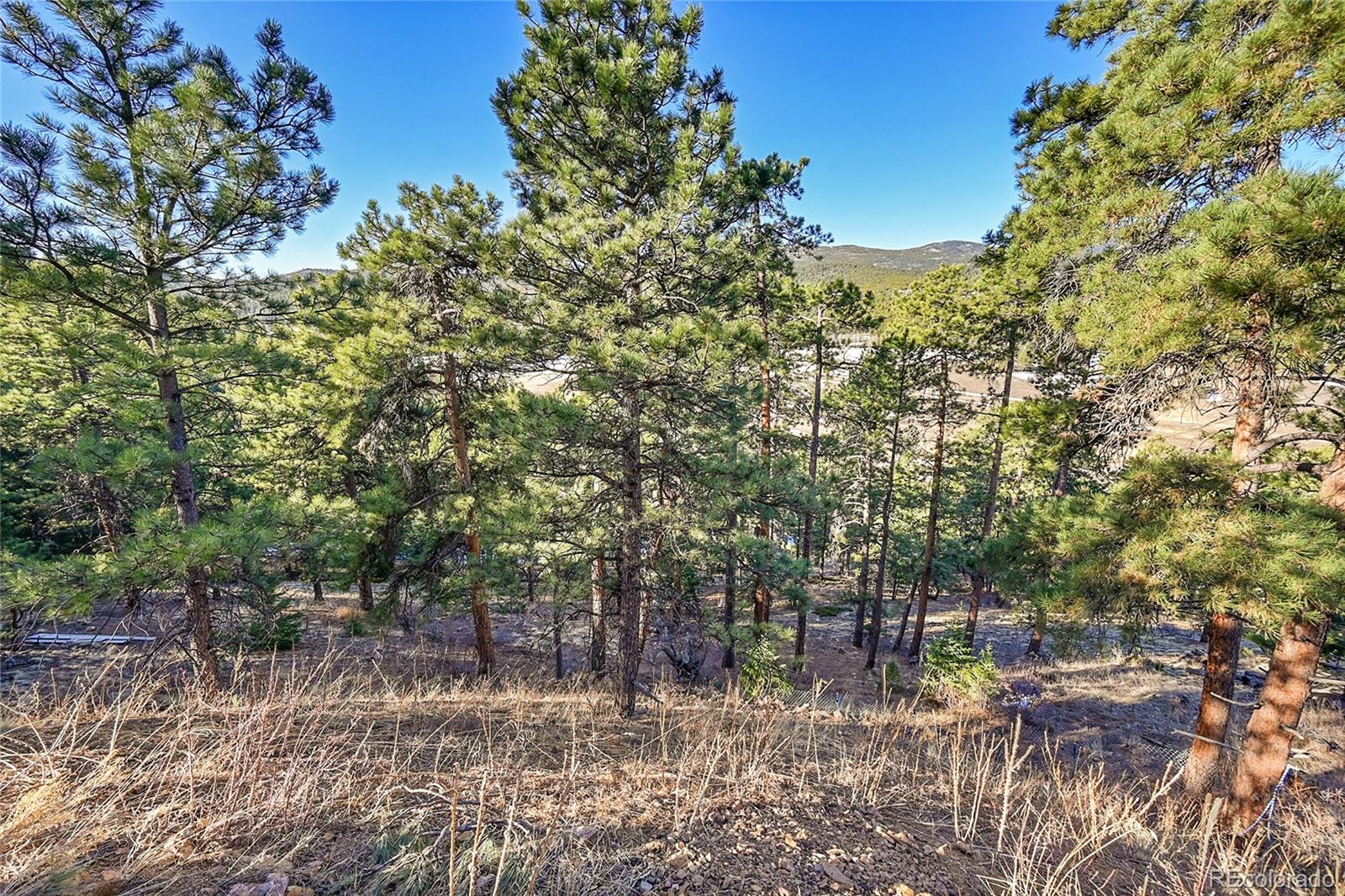 27292 Ridge Trail