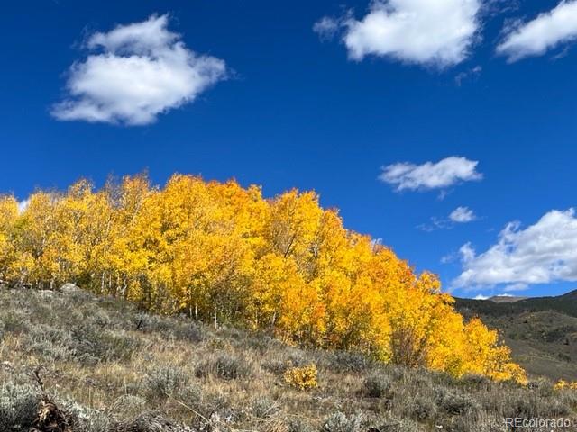 403 J Road, Silverthorne, CO, 80498 1 403 J Road
