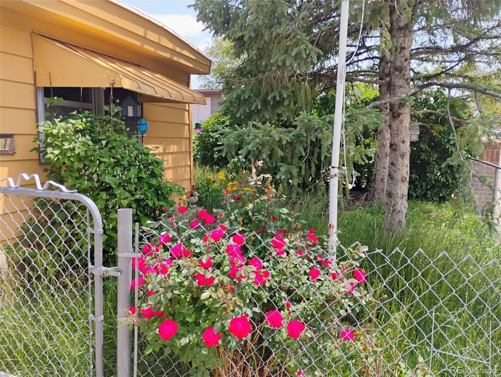 1011 Glen Creighton Drive, Dacono, CO, 80514 2 1011 Glen Creighton Drive