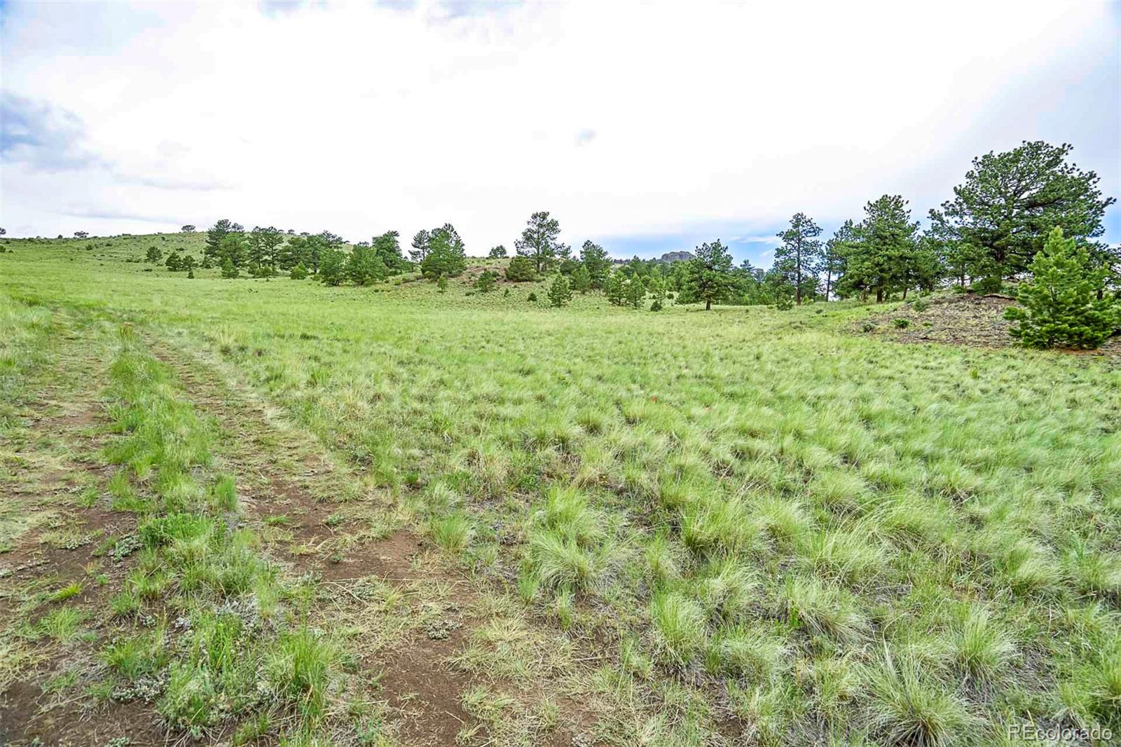 Tract 10 County Road 102