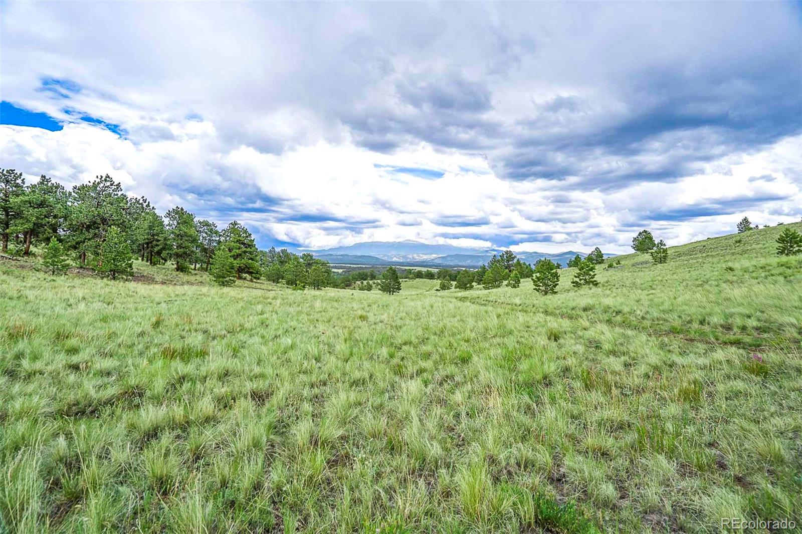 Tract 10 County Road 102