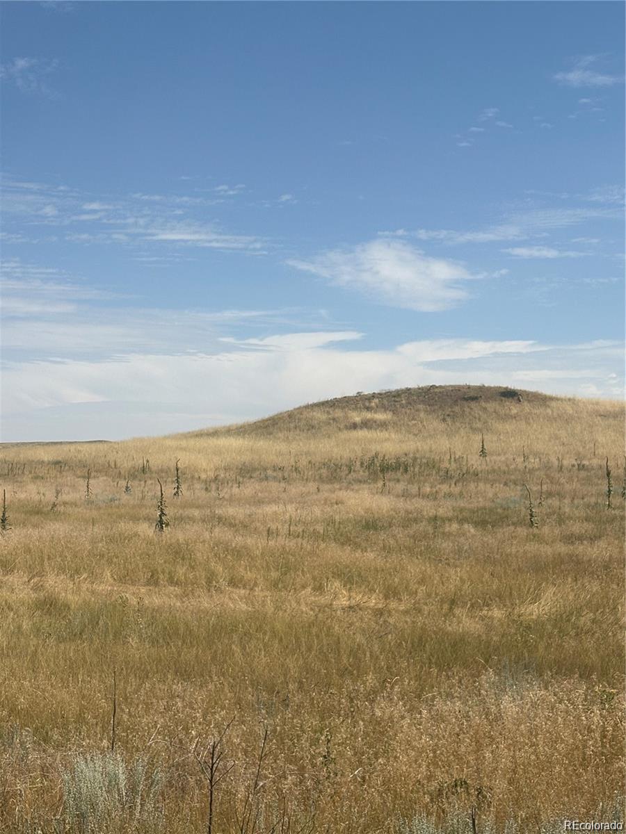 41466 Way Of Goodness