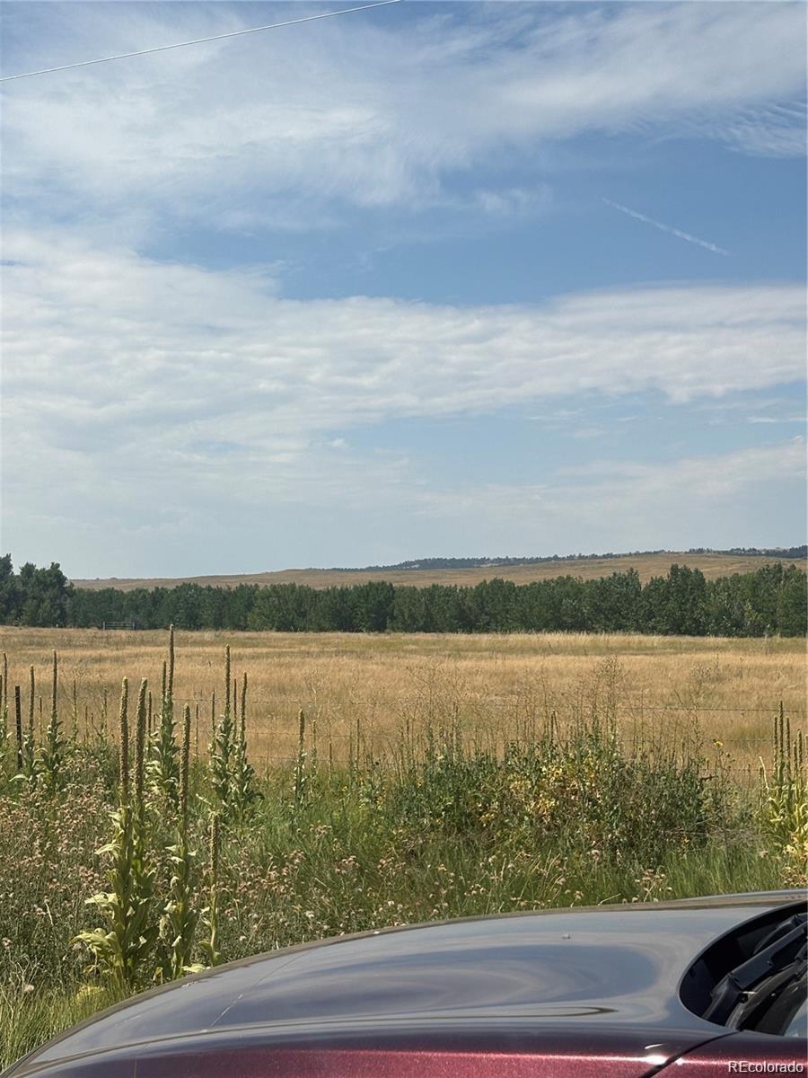 41466 Way Of Goodness