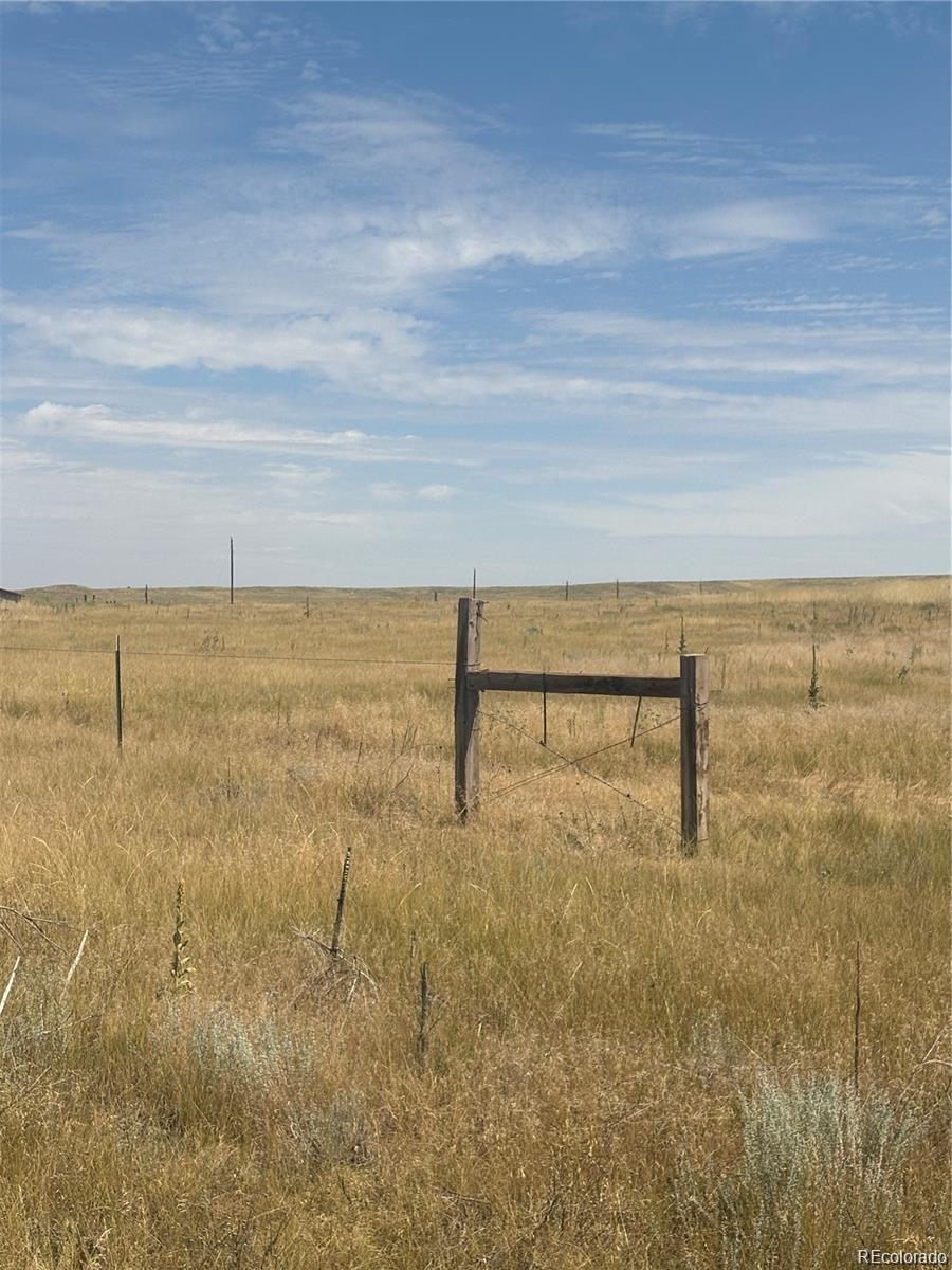 41466 Way Of Goodness