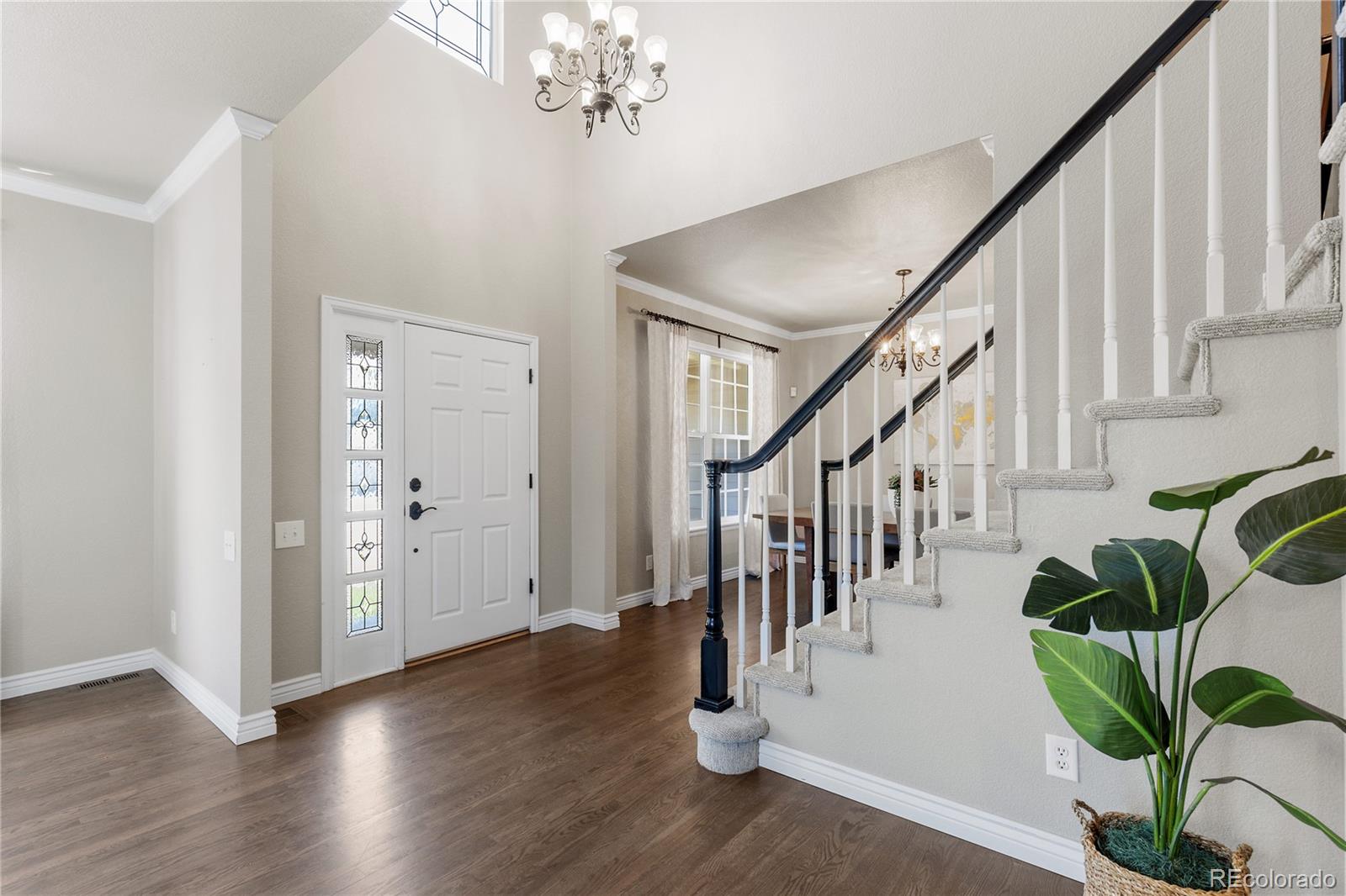 7099 Cerney Circle