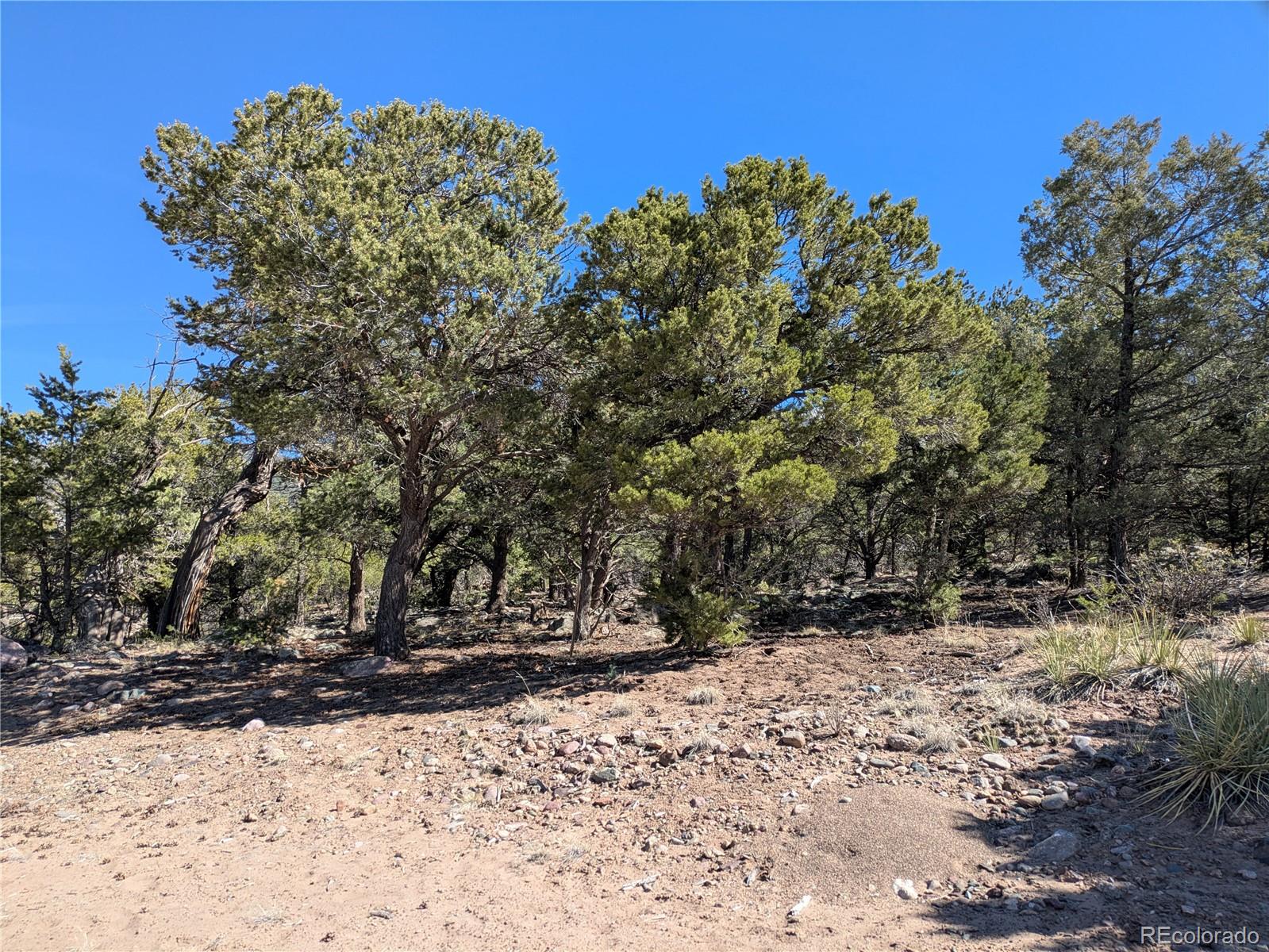 606 Peaceful Overlook