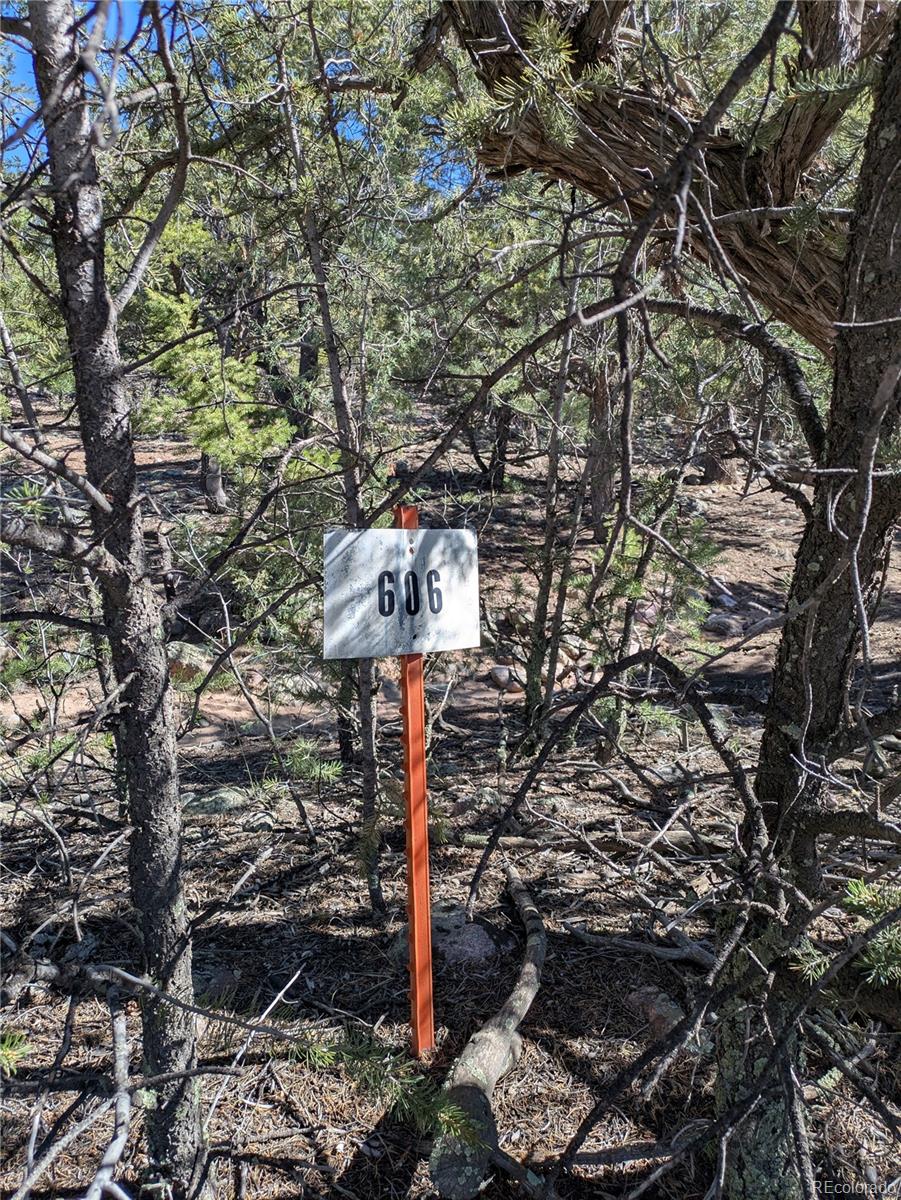 606 Peaceful Overlook