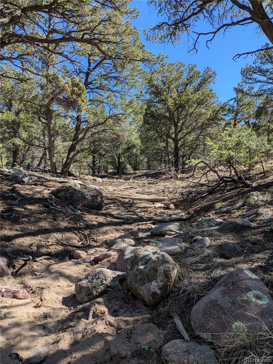 606 Peaceful Overlook