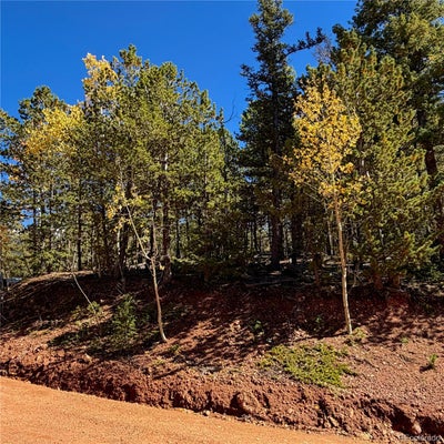 624 WITHERITE DR, DIVIDE, CO 80814 - Image 9865fbca95f6ca8ba6cd3707489712e5/2645978280