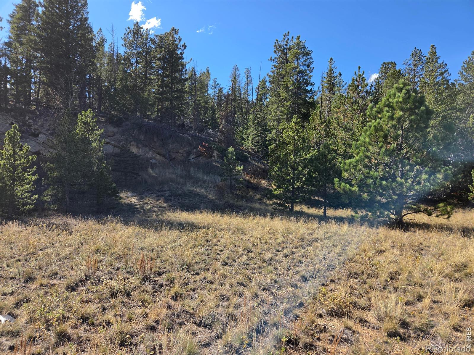 12190 Highway 7