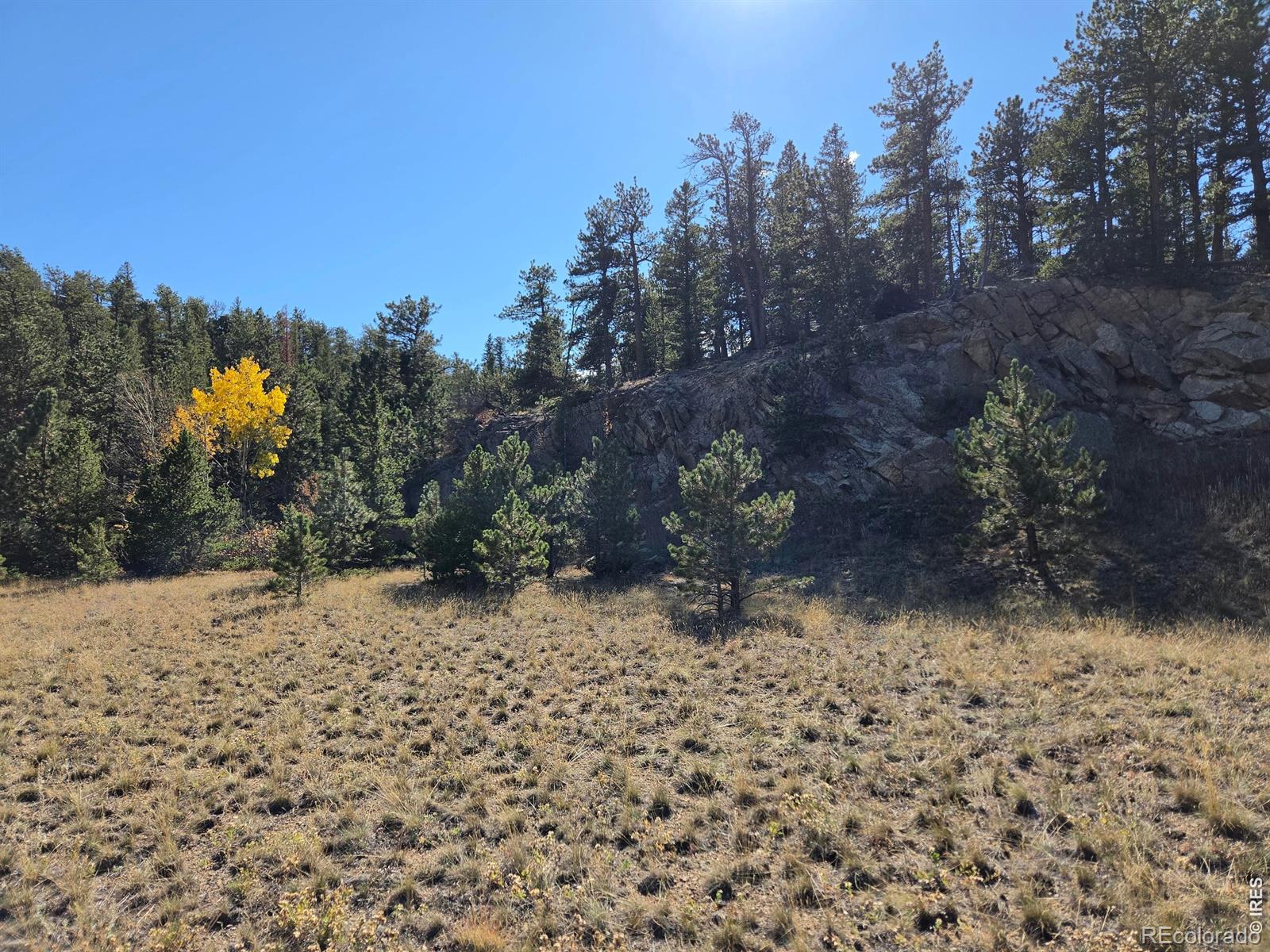 12190 Highway 7