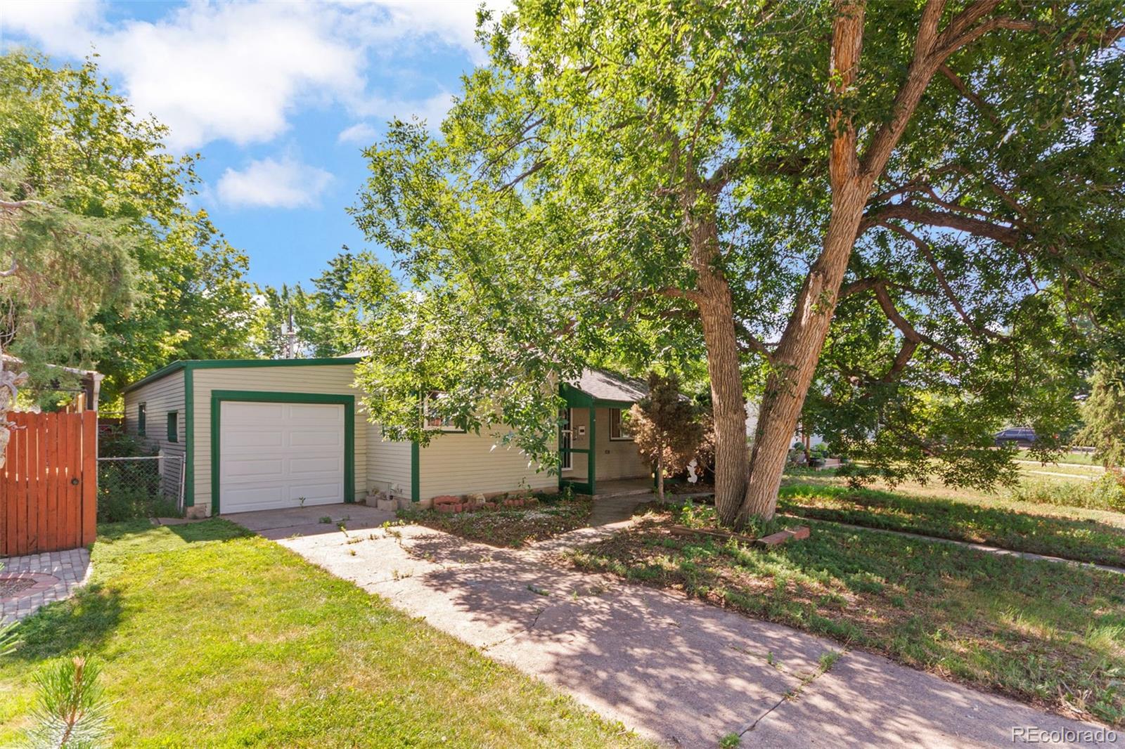 1240 Willow Street