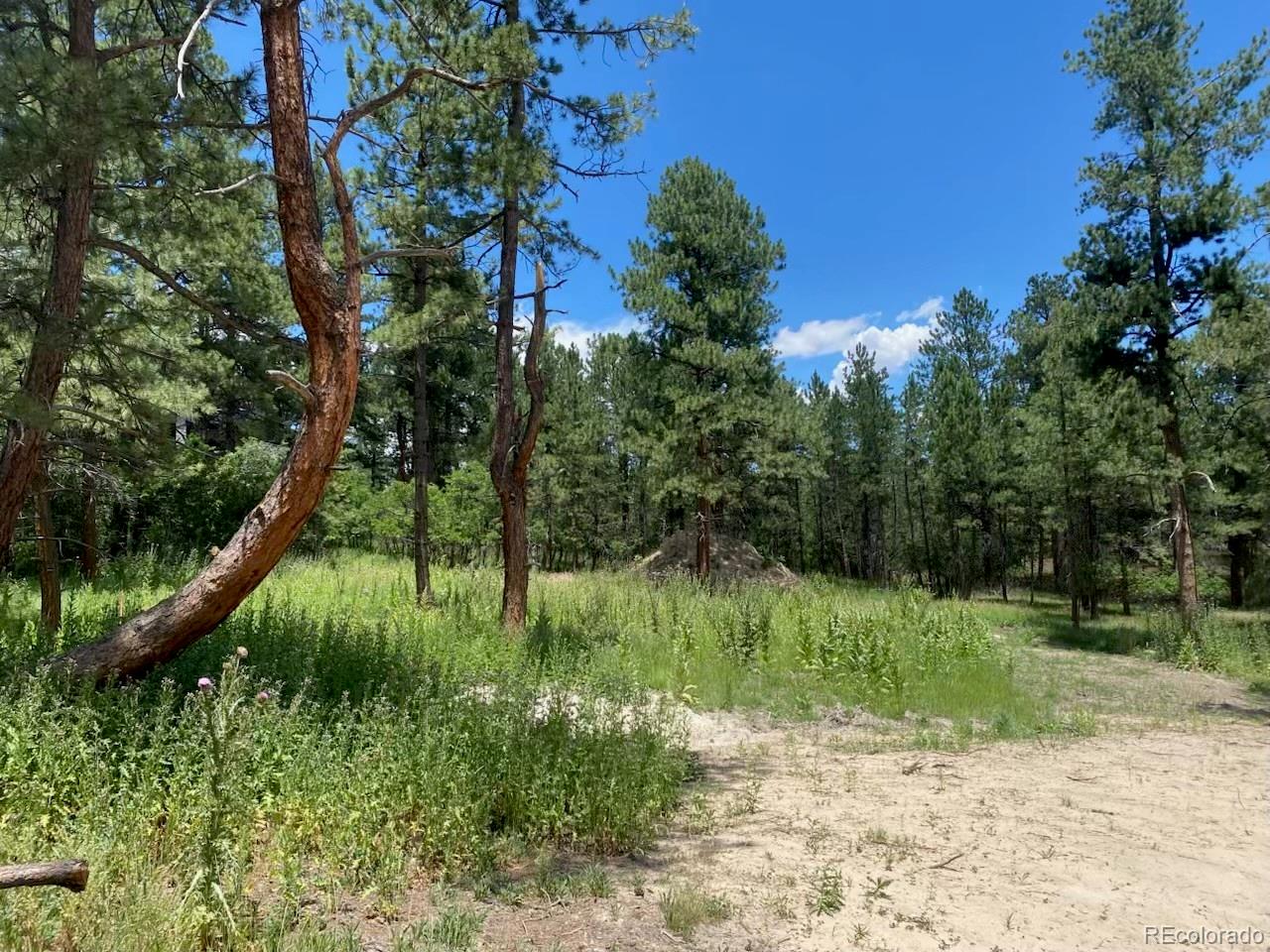 1025 Tenderfoot Drive, Larkspur, CO, 80118 2 1025 Tenderfoot Drive