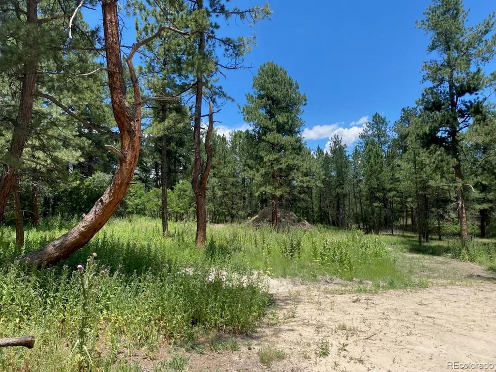 Photo of Larkspur, CO 80118 (MLS # 7947759)