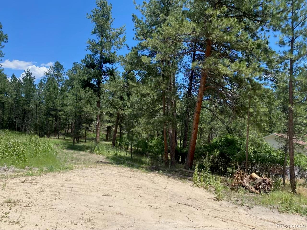 1025 Tenderfoot Drive, Larkspur, CO, 80118 1 1025 Tenderfoot Drive