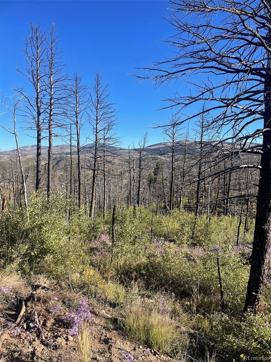 Wagon Mesa Loop