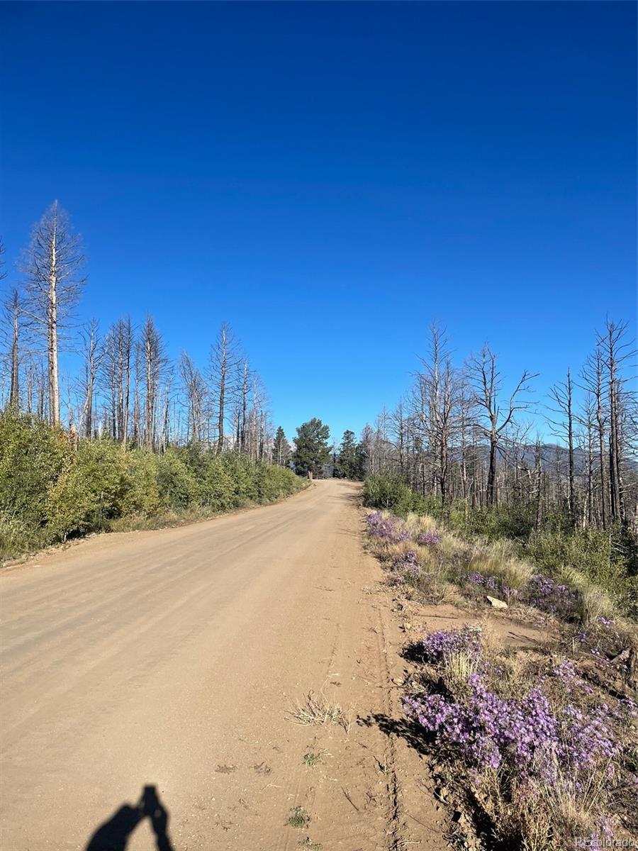 Wagon Mesa Loop