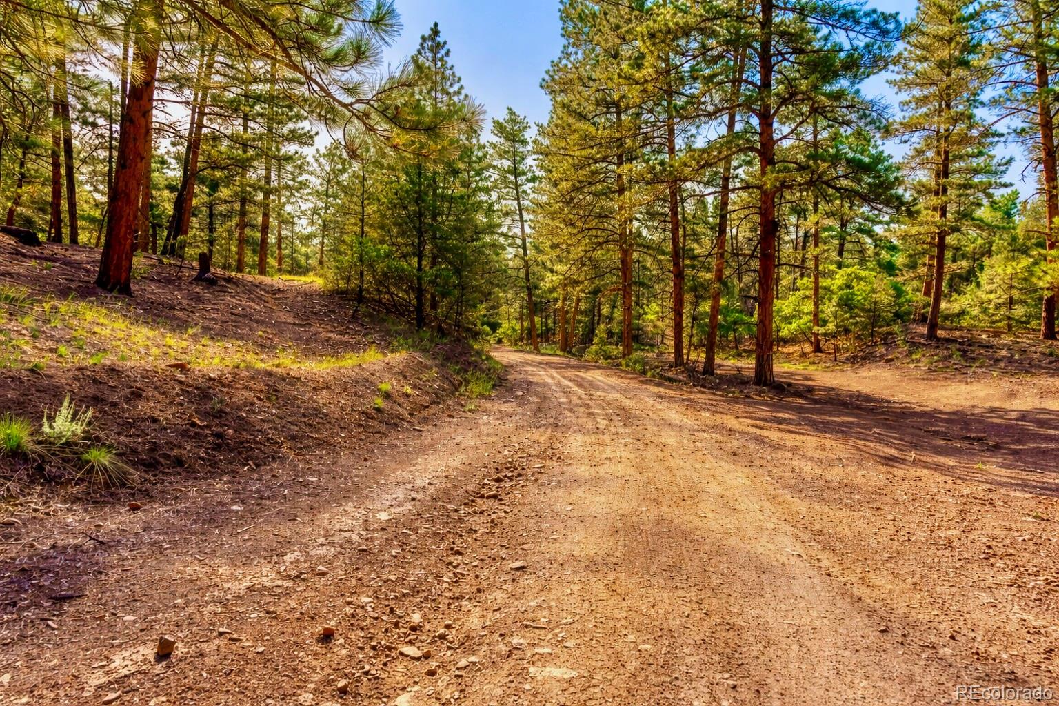 TBD L 10th Trail